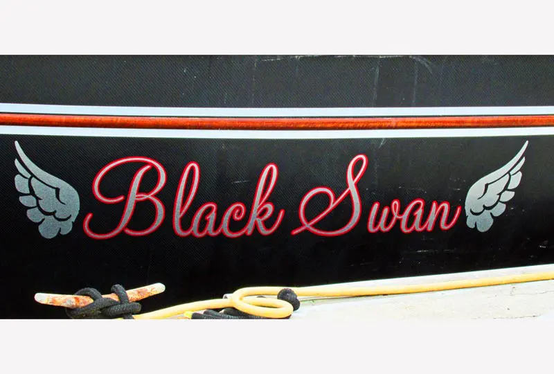 New Metallic Silver Vinyl Lettering & Boat Graphic