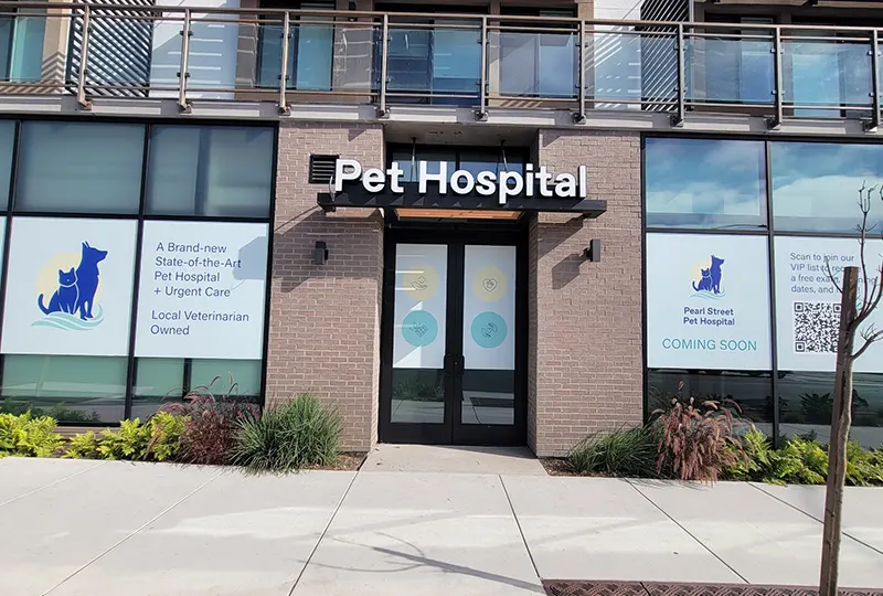 Pearl Street Pet Hospital Signage in La Jolla, CA