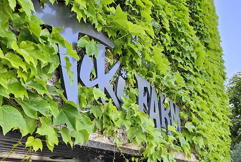 Tiki Farm Logo at San Clemente Building Entrance