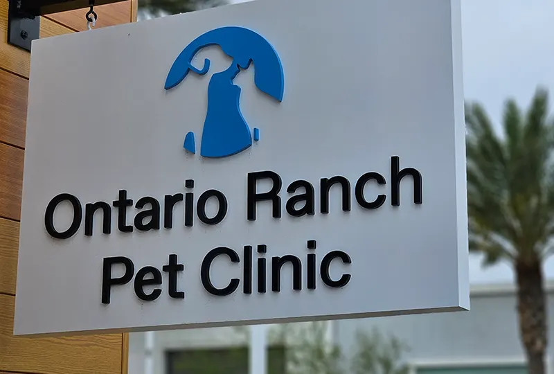 New Blade Sign for Curopet Eastville